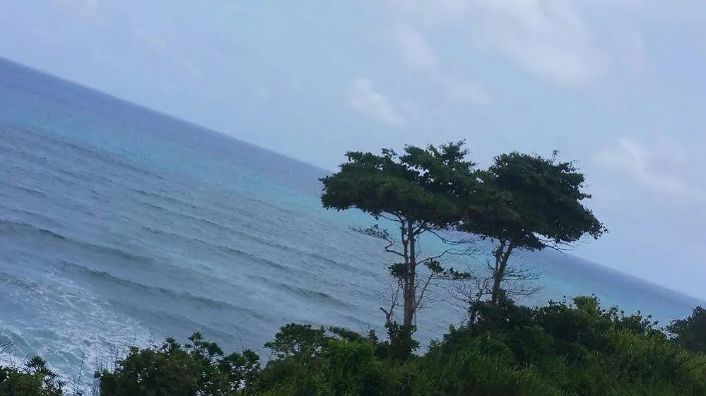 The Sea Cliff Hotel Resort & Spa Port Antonio 4*,