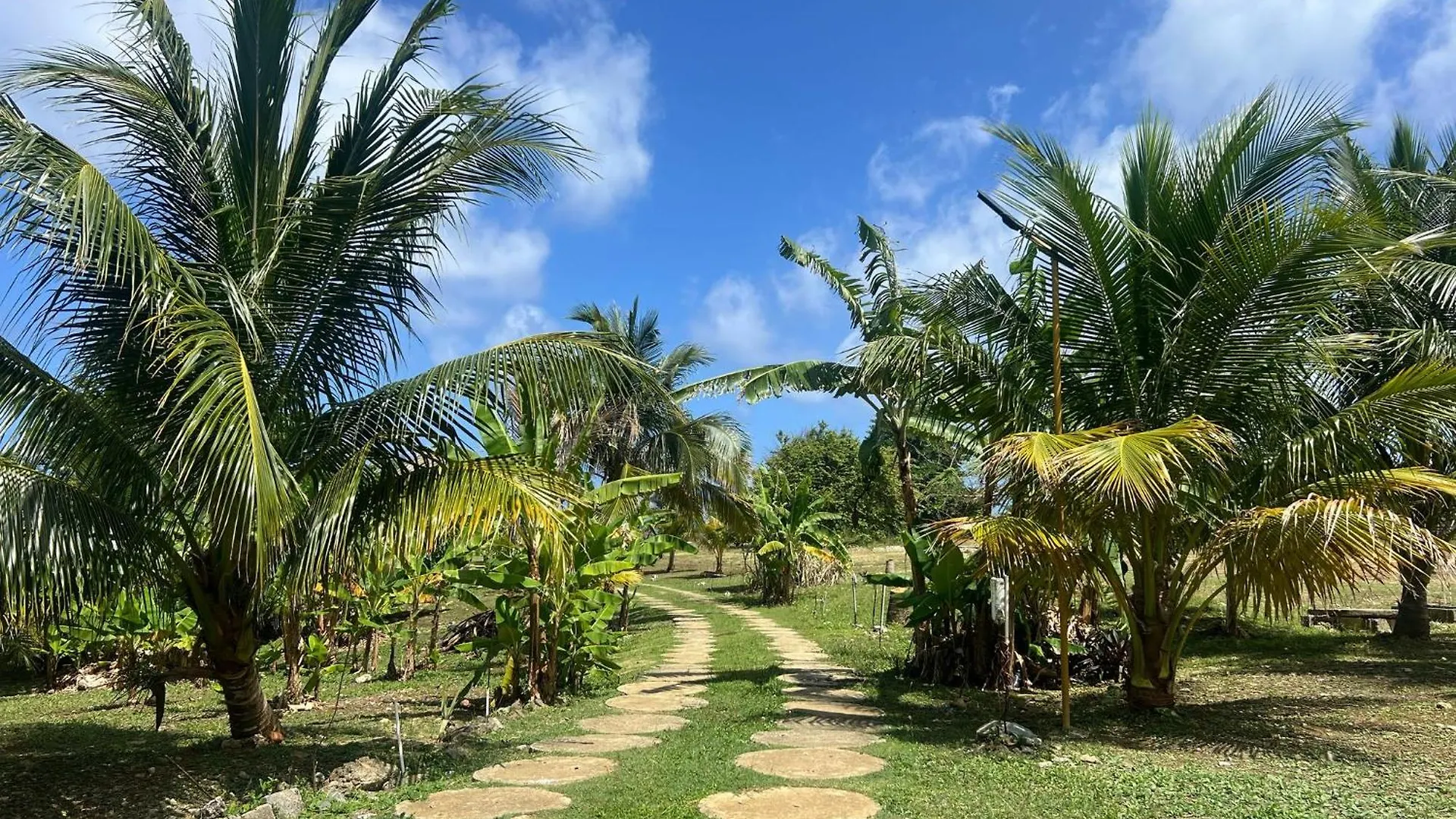 The Sea Cliff Hotel Resort & Spa Port Antonio Jamaica