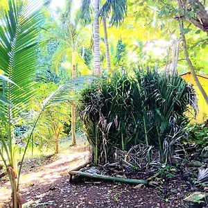 La Familia And Natural Farm *** Port Antonio