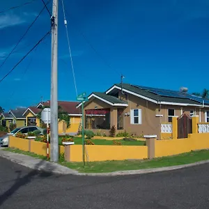 Villa Paradise Villa: Dual With Private Pool And Gym Ocho Rios